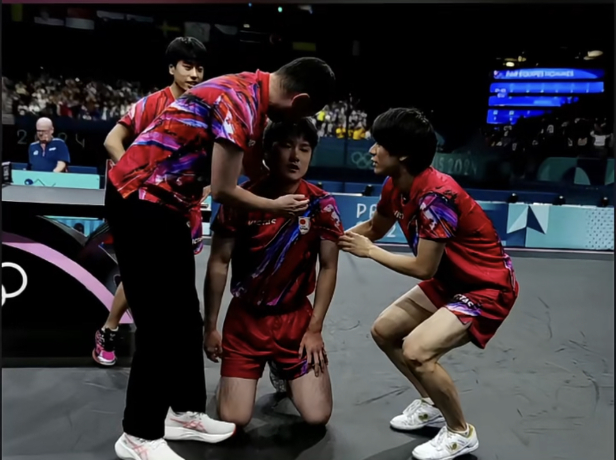 比利时乒乓球队强势法国乒乓球队，张本智和制霸全场