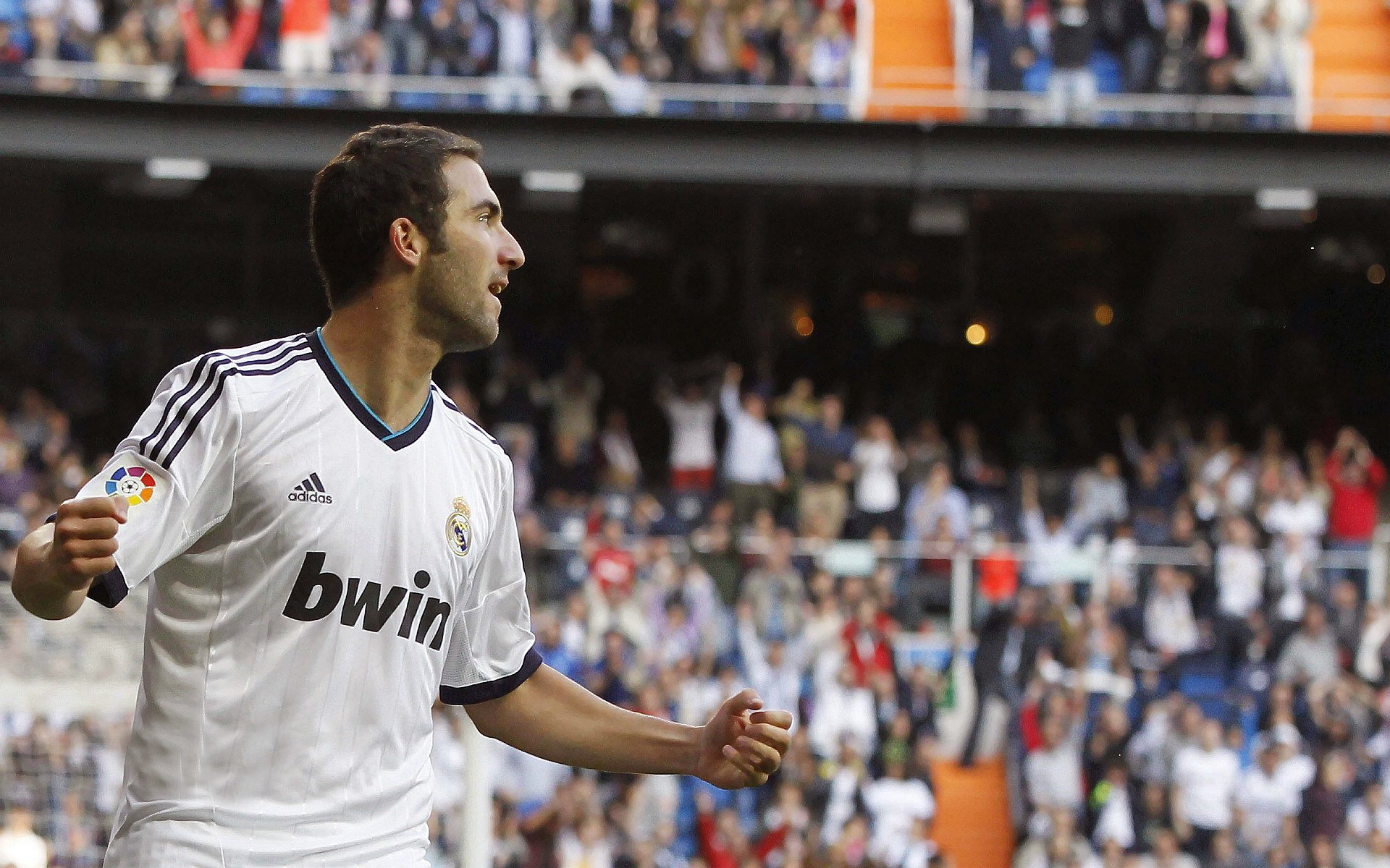 沙漠绿鹰的逆袭，苏亚雷斯一锤定音，阿尔及利亚强势击落沙特雄狮